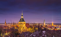 Lüneburg von photoart-hartmann