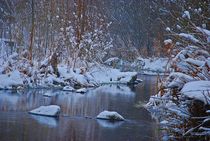 Winteridylle... von loewenherz-artwork