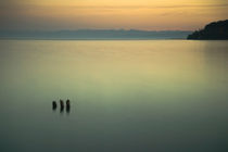 Bodensee von Annette Sturm