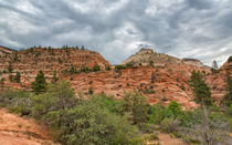 Gray Skies Red Mountains by John Bailey
