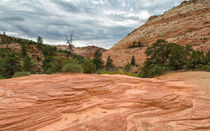 Colorful Layers At Zion by John Bailey