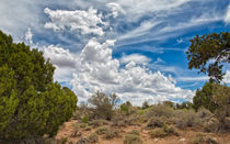 Grand Canyon Cloudscape von John Bailey