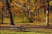 Autumn Colors von Lev Kaytsner