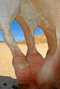 Die Sinnlichkeit der Wüste... von loewenherz-artwork