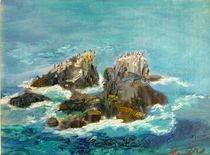 Seal Rock von Renuka Pillai