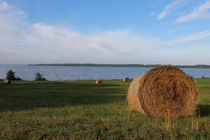 Strohballen am See by ollipic