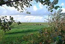 verträumte Landschaft... von loewenherz-artwork