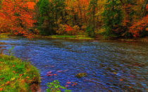 Beaver Creek Paradise von John Bailey