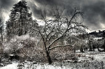 Winter14-Vol.02 by Markus Medinger