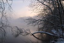 Winter am See von Bruno Schmidiger