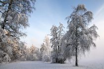 Winterwunderland von Bruno Schmidiger