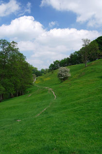 Pasture Land at Ashford-in-the-Water by Rod Johnson