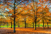 Greenwich Park London by David Pyatt