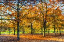 Greenwich Park Autumn Art by David Pyatt