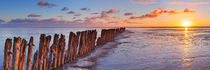 Wooden breakwater at sunrise von Sara Winter