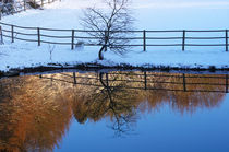 Winterliche Impression von AD DESIGN Photo + PhotoArt