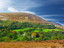 Yorkshire, at it,s best. by Robert Gipson