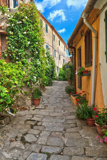 Marciana village - Elba Island by Antonio Scarpi