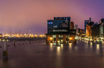 Hochwasser am Fischmarkt VI von elbvue by elbvue