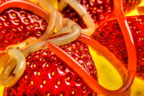 Erdbeeren mit molekularen Erdbeer - und Kiwispaghetti auf Kiwi 2 von Marc Heiligenstein