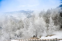 Winterwald mit Steg im Yellowstone von Marianne Drews