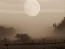 mond im nebel by georg gensler