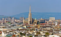 Vienna with St. Stephans church by Leopold Brix