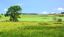 Northumberland-Idyll by gscheffbuch