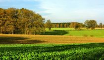 Herbstlandschaft by gscheffbuch