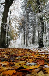 Herbst meets Winter von Bruno Schmidiger