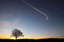 Baum und Himmel von Bruno Schmidiger