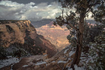 The Grand Canyon II by Zohar Lindenbaum