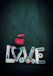 Love and a Red Cardinal von Sybille Sterk