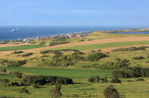 Green Fields Of  France  by Aidan Moran