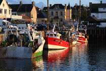 Boats At The Dock by Aidan Moran