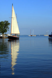 Sailboat Reflections by Aidan Moran