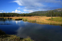 Tranquil Yellowstone   von Aidan Moran