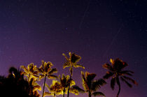 Ehukai Shooting Stars by Sean Davey