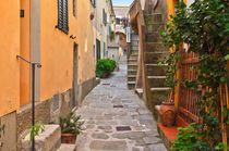 Elba Island - view in Marciana von Antonio Scarpi