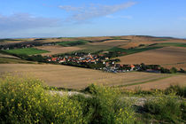 Normandy, France von Aidan Moran