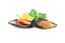 boiled mussels  isolated on white von Antonio Scarpi