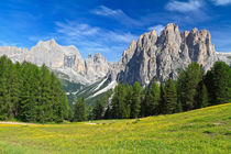 Dolomites - Catinaccio mount by Antonio Scarpi
