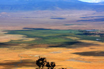 Ngorongoro Crater Tanzania von Aidan Moran