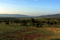 African Savanna  by Aidan Moran