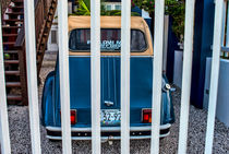 A Tropical Car von Srdjan Petrovic