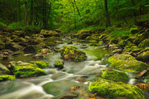 A river through lush forest von Sara Winter