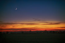 New Moon at Sunset von Vicki Field