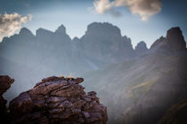 Rays of Light von Lukas Kirchgasser