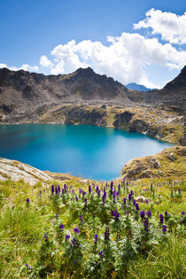 Wagenitzsee von Lukas Kirchgasser