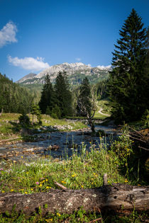 Gnadenalm im Sommer by Lukas Kirchgasser